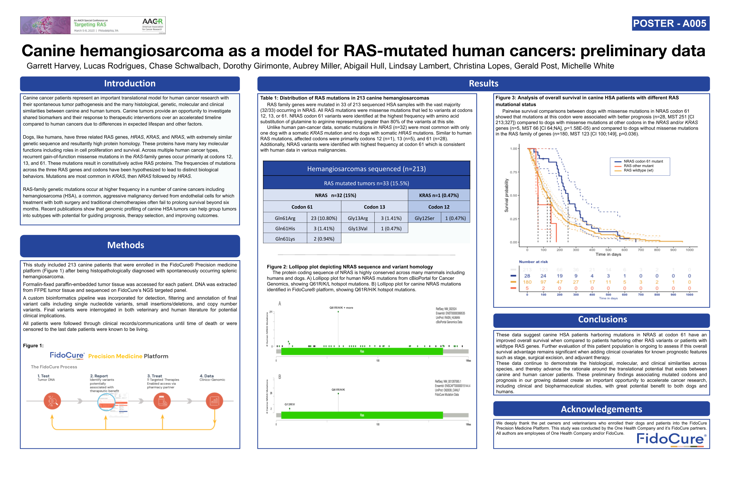 AACR_ Targeting RAS - NRAS Canine HSA.pptx