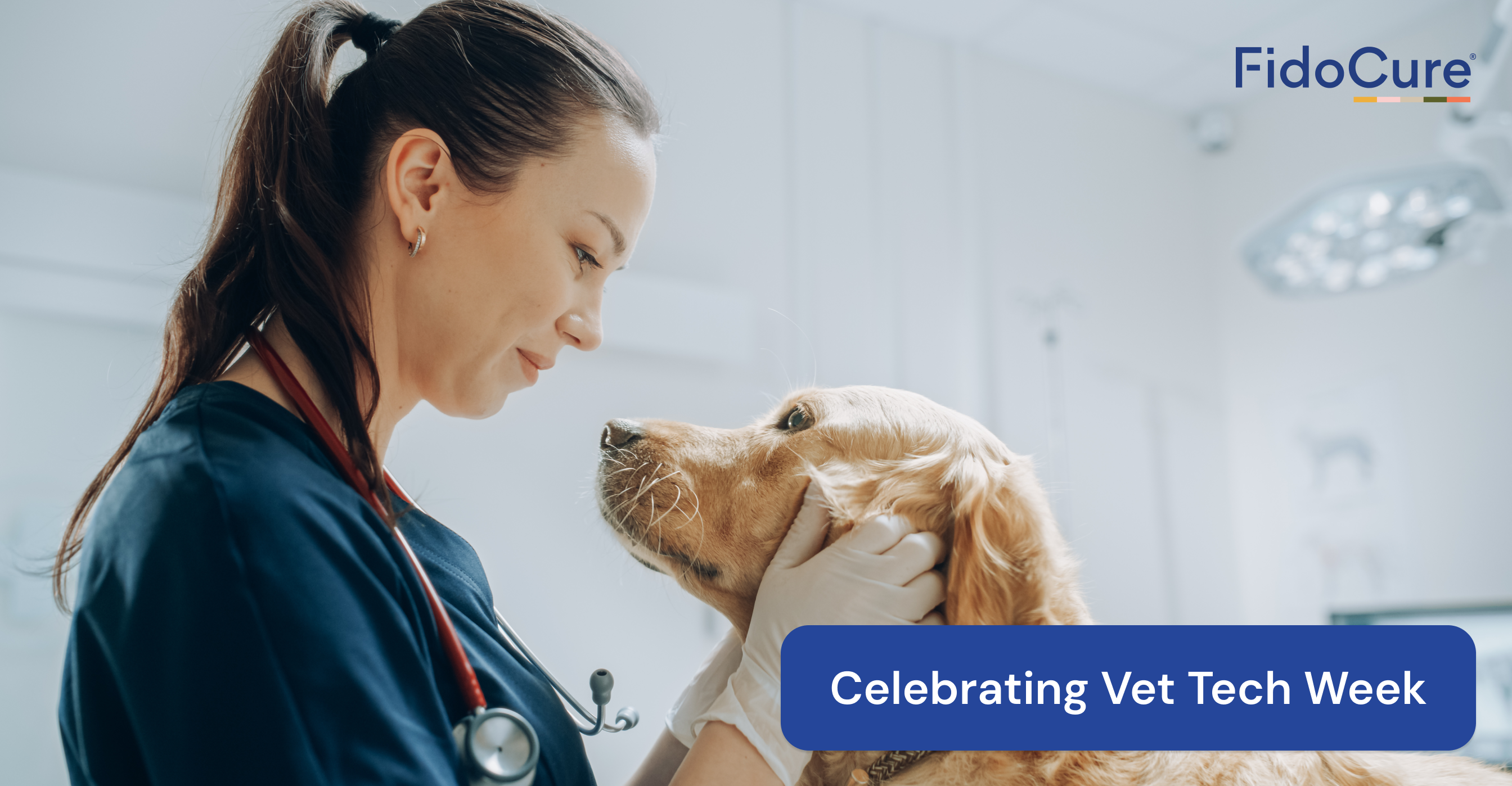 Blog_VetTechWeek