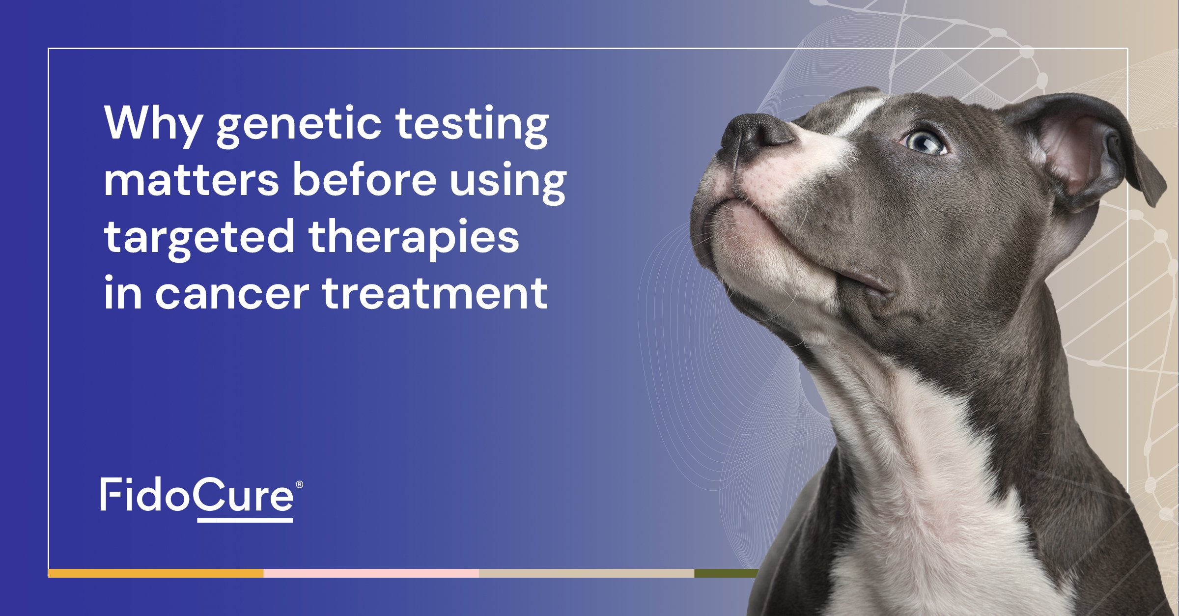 FidoCure Genetic Testing Matter