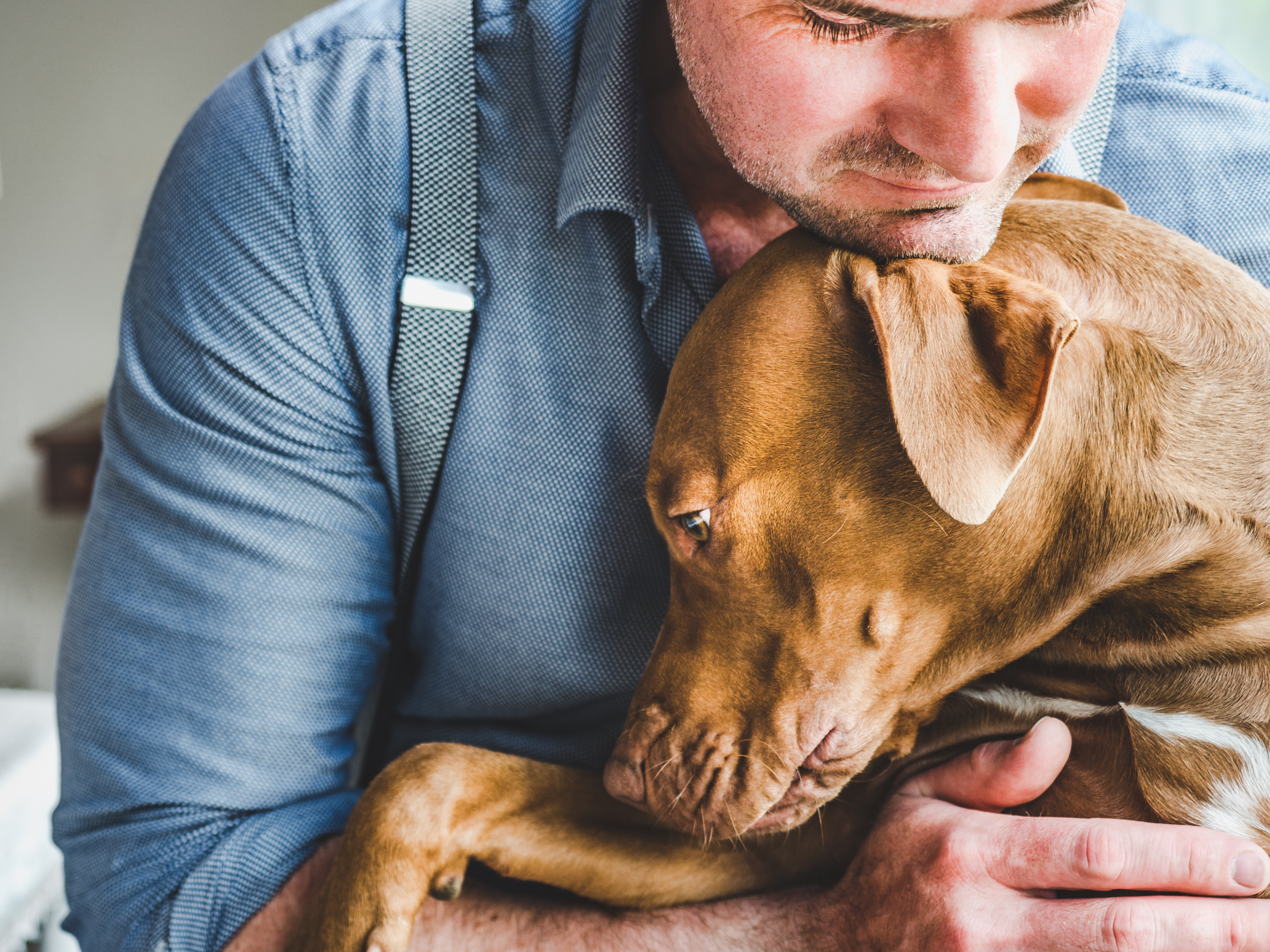 Man comforting dog